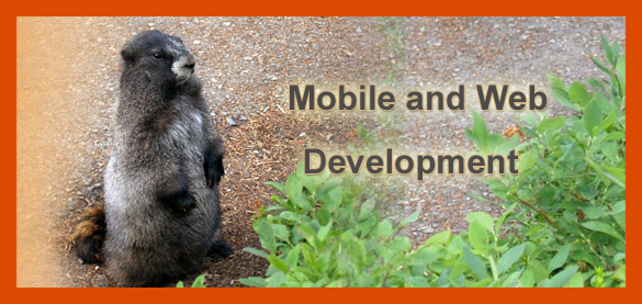 Burly Marmot Software