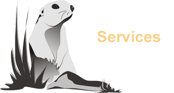 Burly Marmot Software